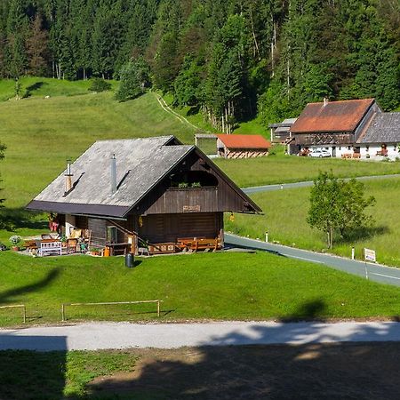 Brunarica Bled Zatrnik Pokljuka Buitenkant foto