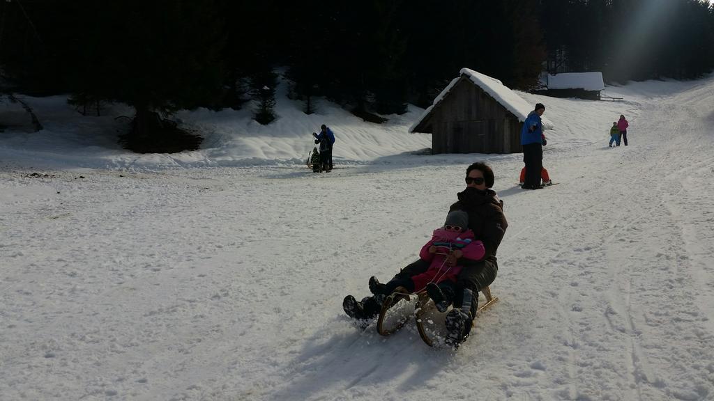 Brunarica Bled Zatrnik Pokljuka Buitenkant foto