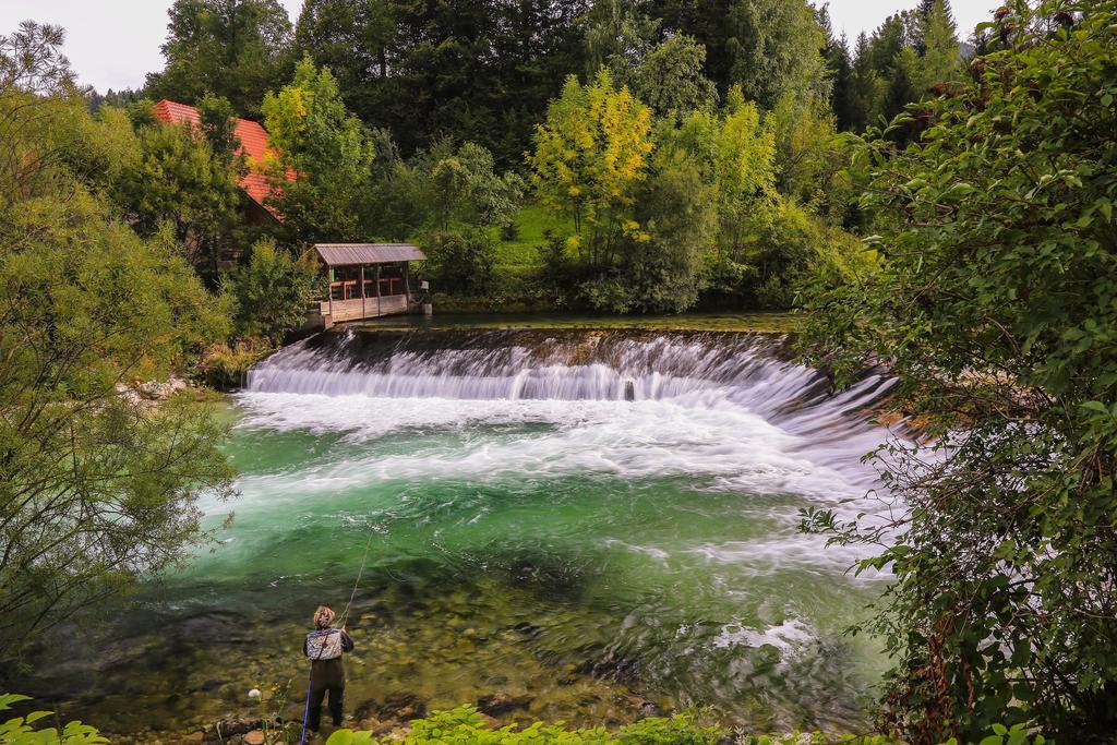 Brunarica Bled Zatrnik Pokljuka Buitenkant foto