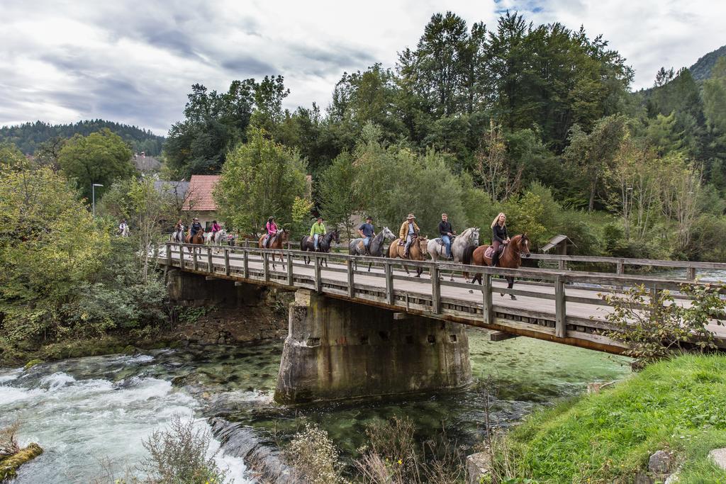 Brunarica Bled Zatrnik Pokljuka Buitenkant foto