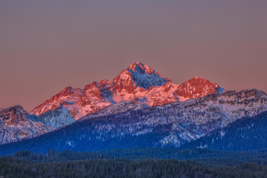 Brunarica Bled Zatrnik Pokljuka Buitenkant foto