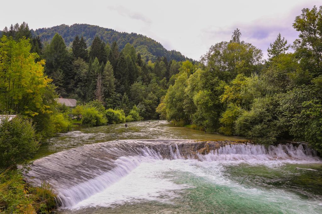Brunarica Bled Zatrnik Pokljuka Buitenkant foto