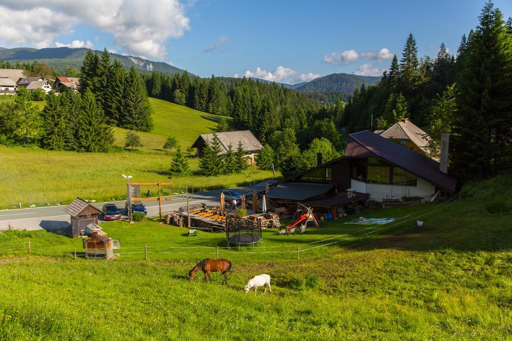 Brunarica Bled Zatrnik Pokljuka Buitenkant foto